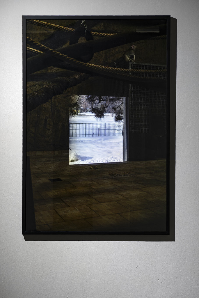 territory terytorium Swoboda